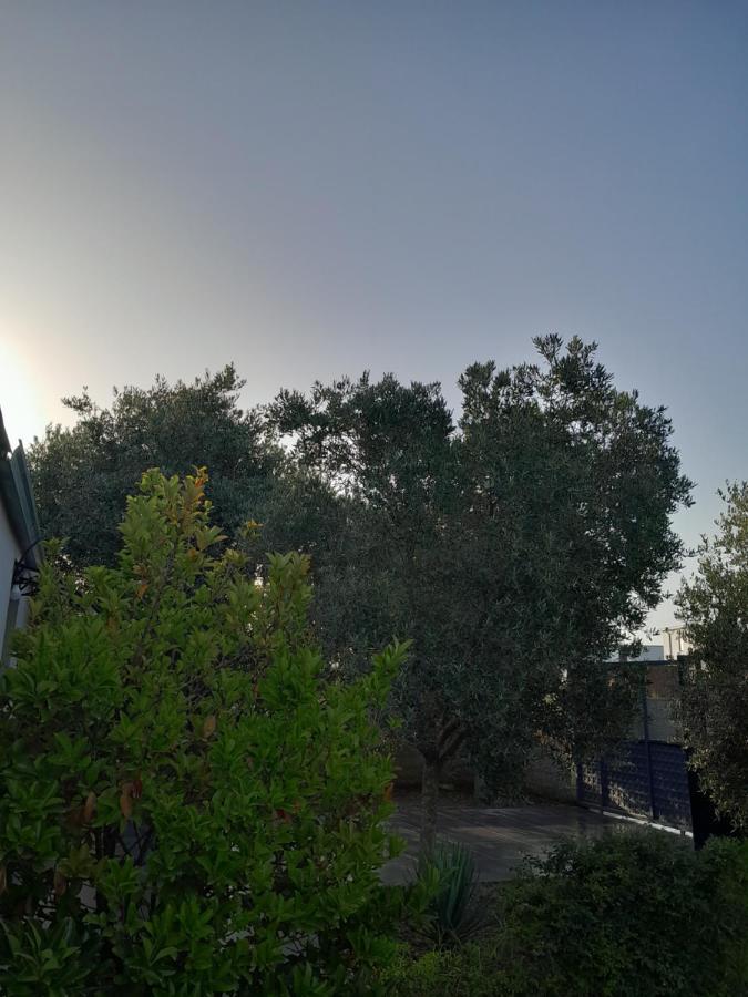 Garden Beach House Hamallaj Kültér fotó